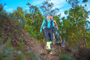 BIB: 
                            <button type="button" onclick="openModal(21833323)" class="btn btn-primary btn-sm float-right btn-popup" data-toggle="modal" data-target=".modal-high-quality">
                        <i class="fas fa-shopping-cart"></i> Add to Cart
                    </button>
                                            <button type="button" onclick="isThisMe(21833323, true)" class="btn btn-success btn-sm float-right btn-popup btn-isme hidden" data-toggle="tooltip" data-placement="bottom" title="นี่คือรูปของคุณใช่ไหม คลิกที่นี่เพื่อเอาเข้าอัลบั้ม">
                        <i class="fas fa-plus"></i> Add to album
                    </button>
                    <button type="button" onclick="isThisMe(21833323, false)" class="btn btn-warning btn-sm float-right btn-popup btn-isnotme hidden">
                        <i class="fas fa-ban"></i> Remove from album
                    </button>